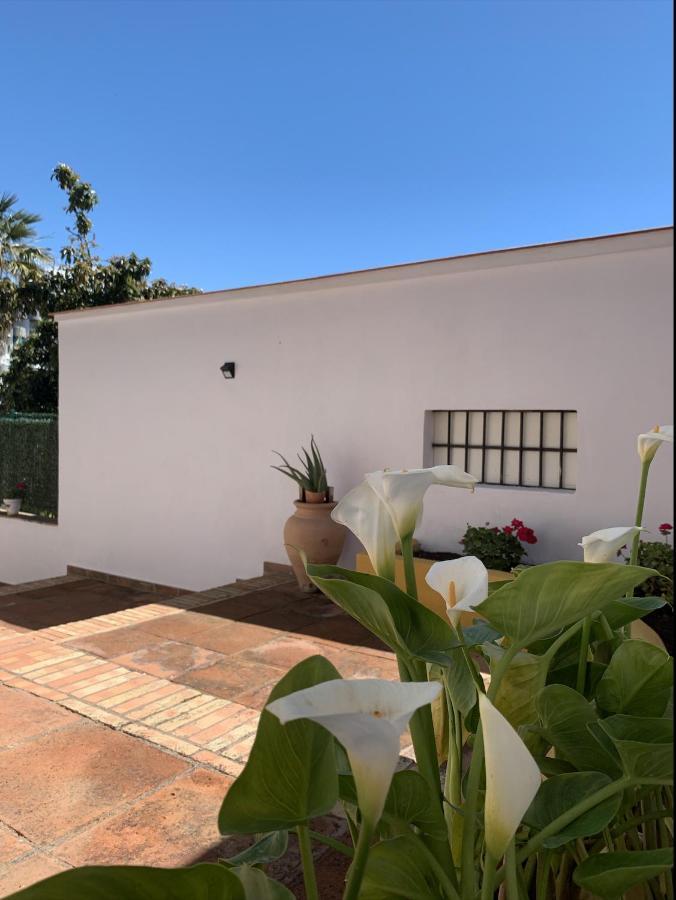A Estrenar Preciosa Suite-Centrico-Con Jardin Y Porche Τορρεμολίνος Εξωτερικό φωτογραφία